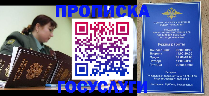 миграционный учет в Кингисеппе