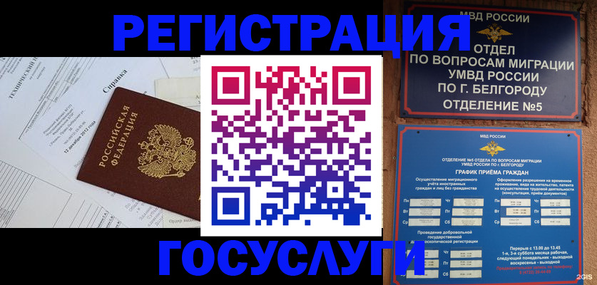 временная прописка в Кингисеппе