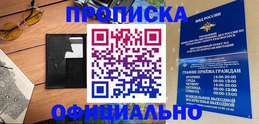 прописка поиск в Кингисеппе